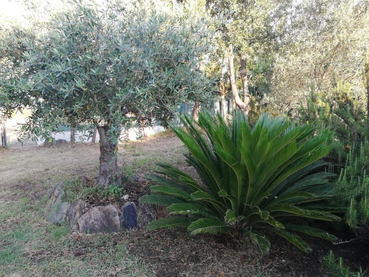 La Cuppulata Appartement Budoni Buitenkant foto