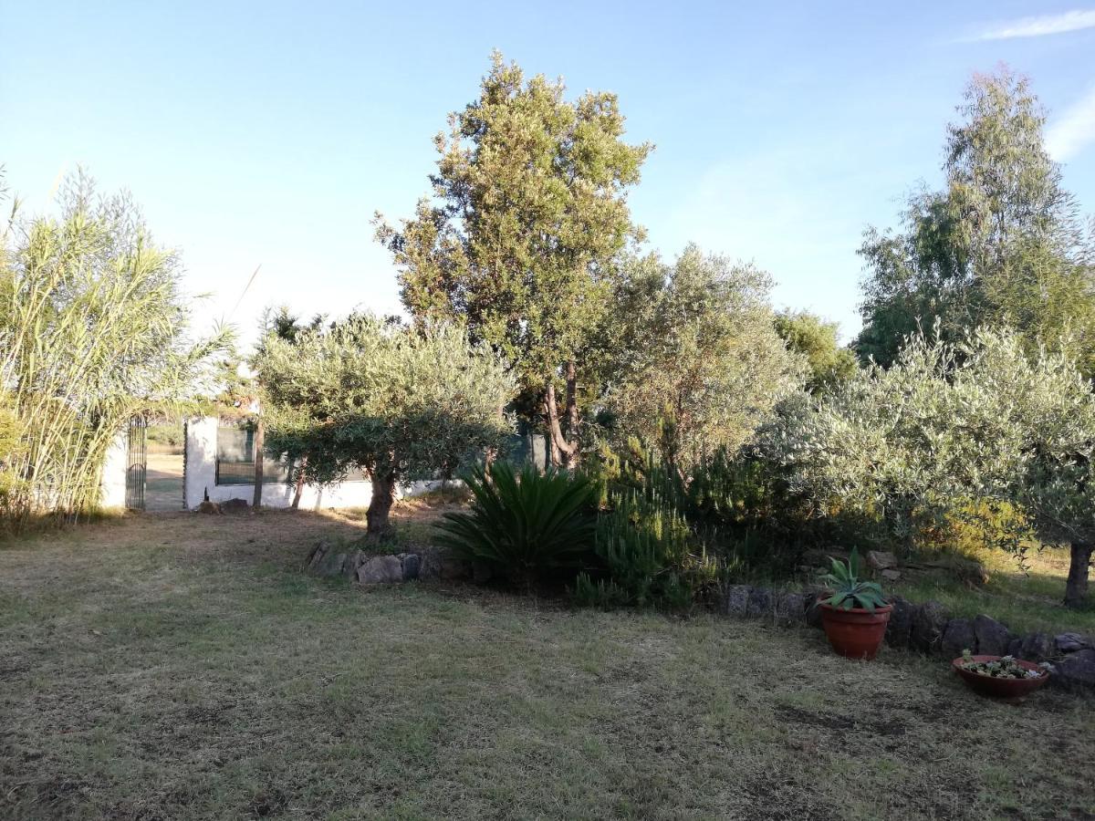 La Cuppulata Appartement Budoni Buitenkant foto
